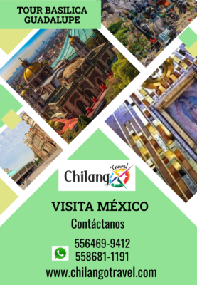 Tour Basílica de Guadalupe