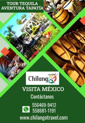 Tour Tequila Jalisco