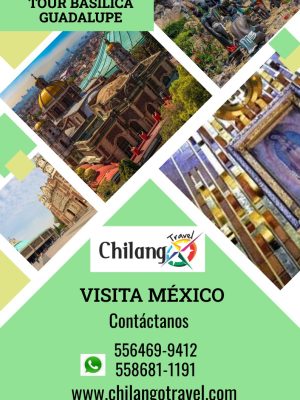 Tour Basílica de Guadalupe