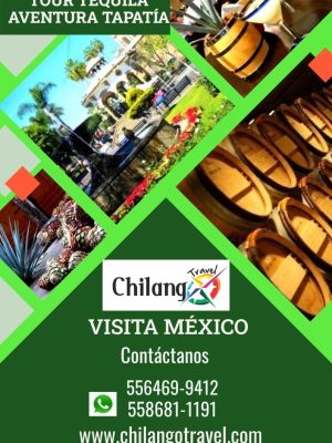 Tour Tequila Jalisco